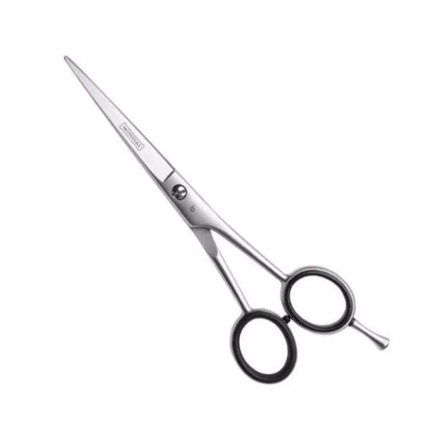 Tesoura Mundial Cabelo Silver Bc-4001-6
