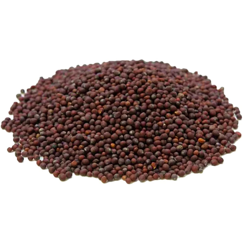 Semente de Mostarda Preta para Acupuntura Auricular - 50g